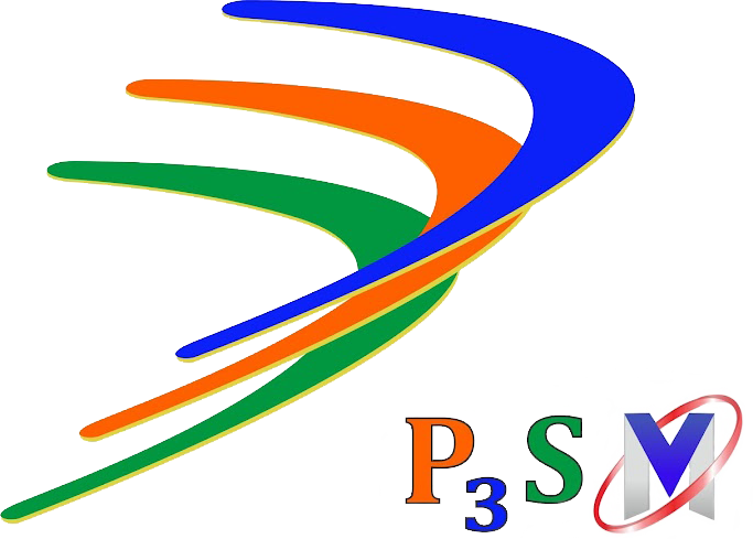 P3SM